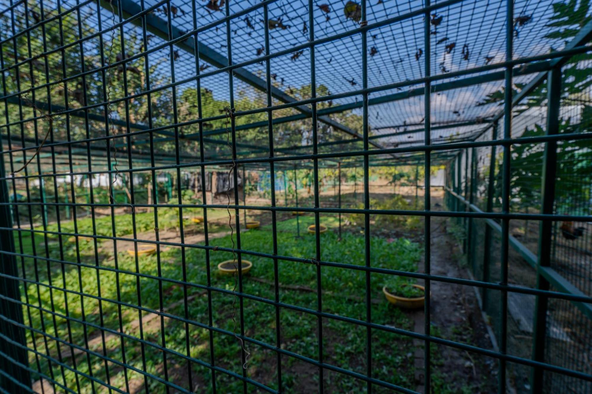 Saffronstays Timber Crest Dehradun Exterior foto